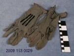 http://data.mohistory.org/files/thumbnails/collections_mohistory_org54d53f93852ff.jpg
